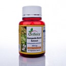 Hempedu Bumi Extract