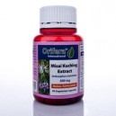 Misai Kuching Extract